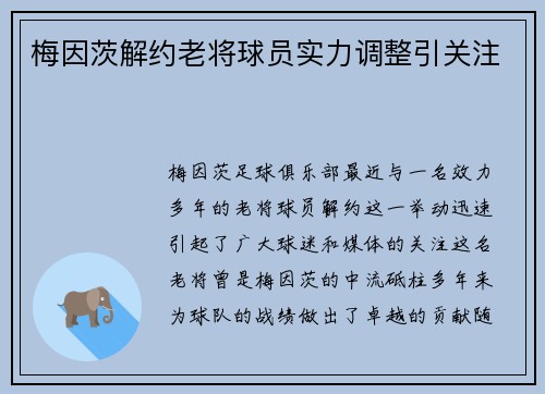 梅因茨解约老将球员实力调整引关注